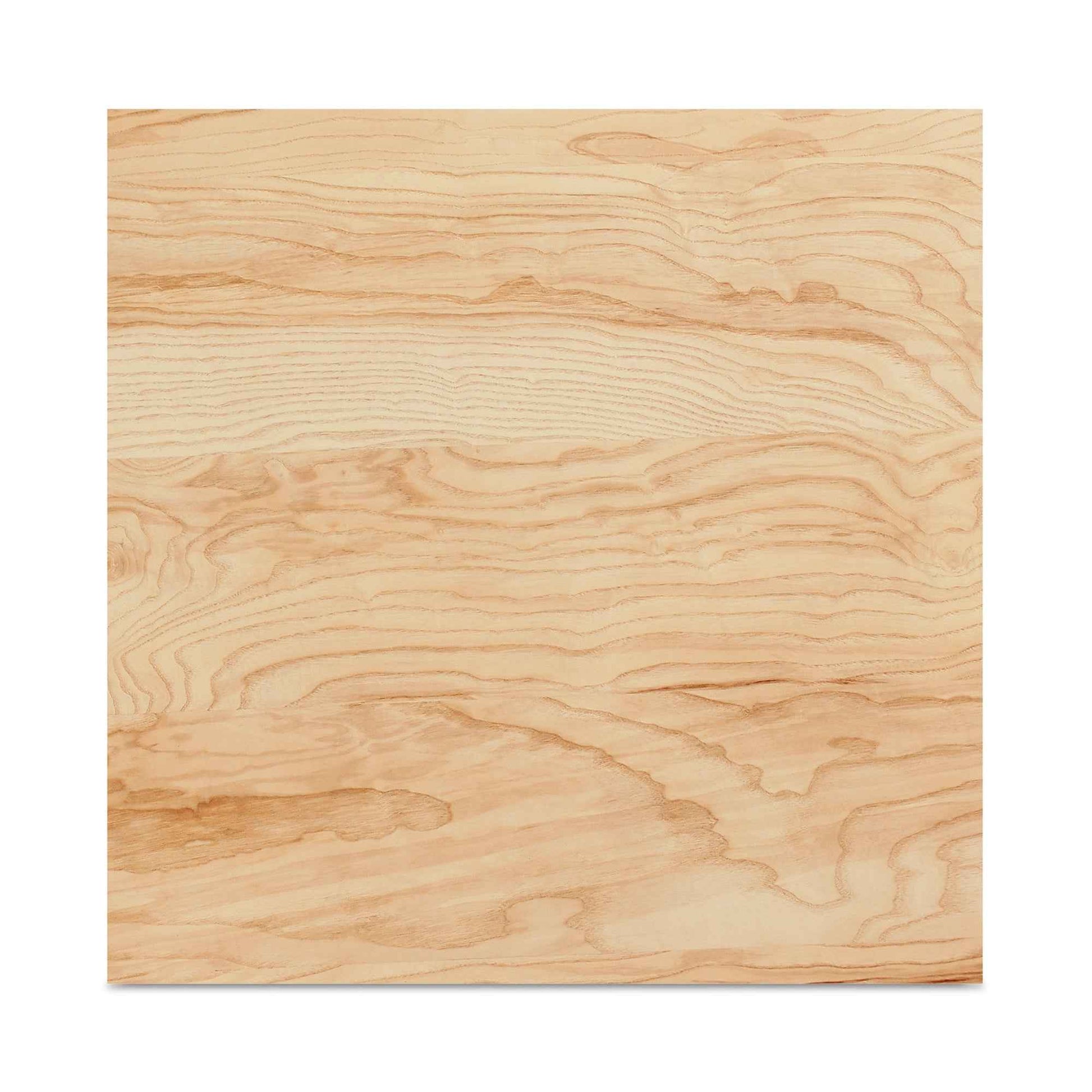 OREGON BLONDE BURL WOOD COFFEE TABLE