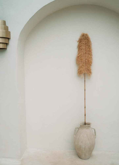 RAFFIA PALMEIRA | NATURAL | SET OF 6