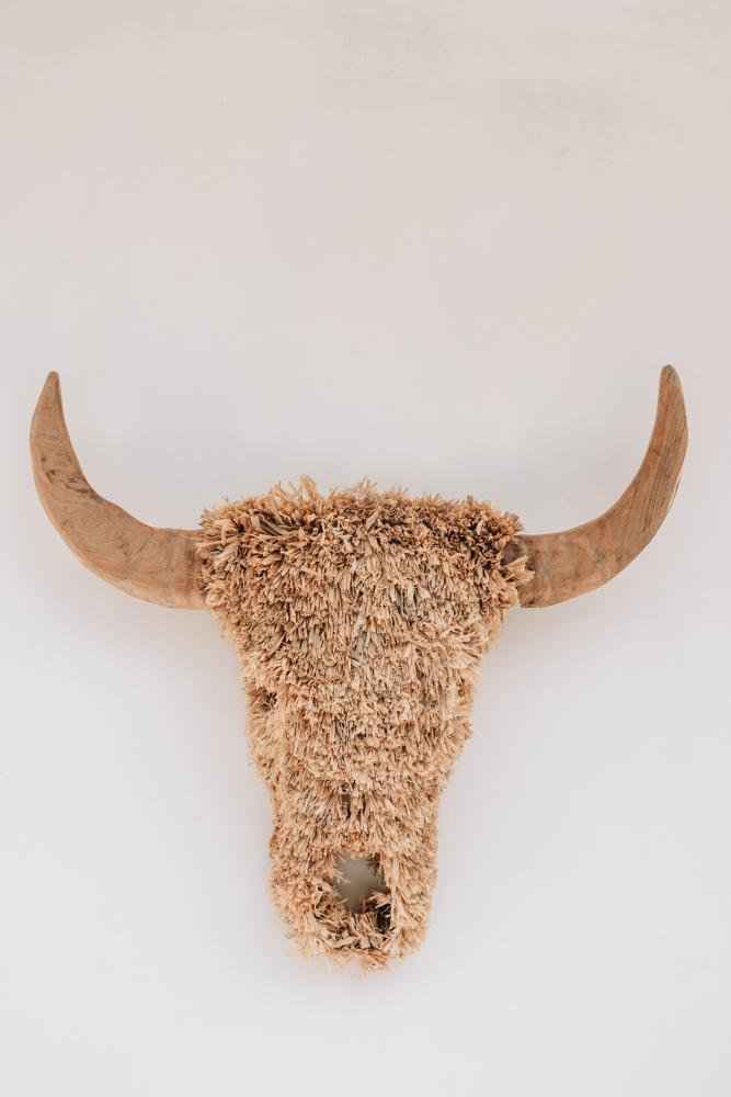 RAFFIA TORO WALL ART
