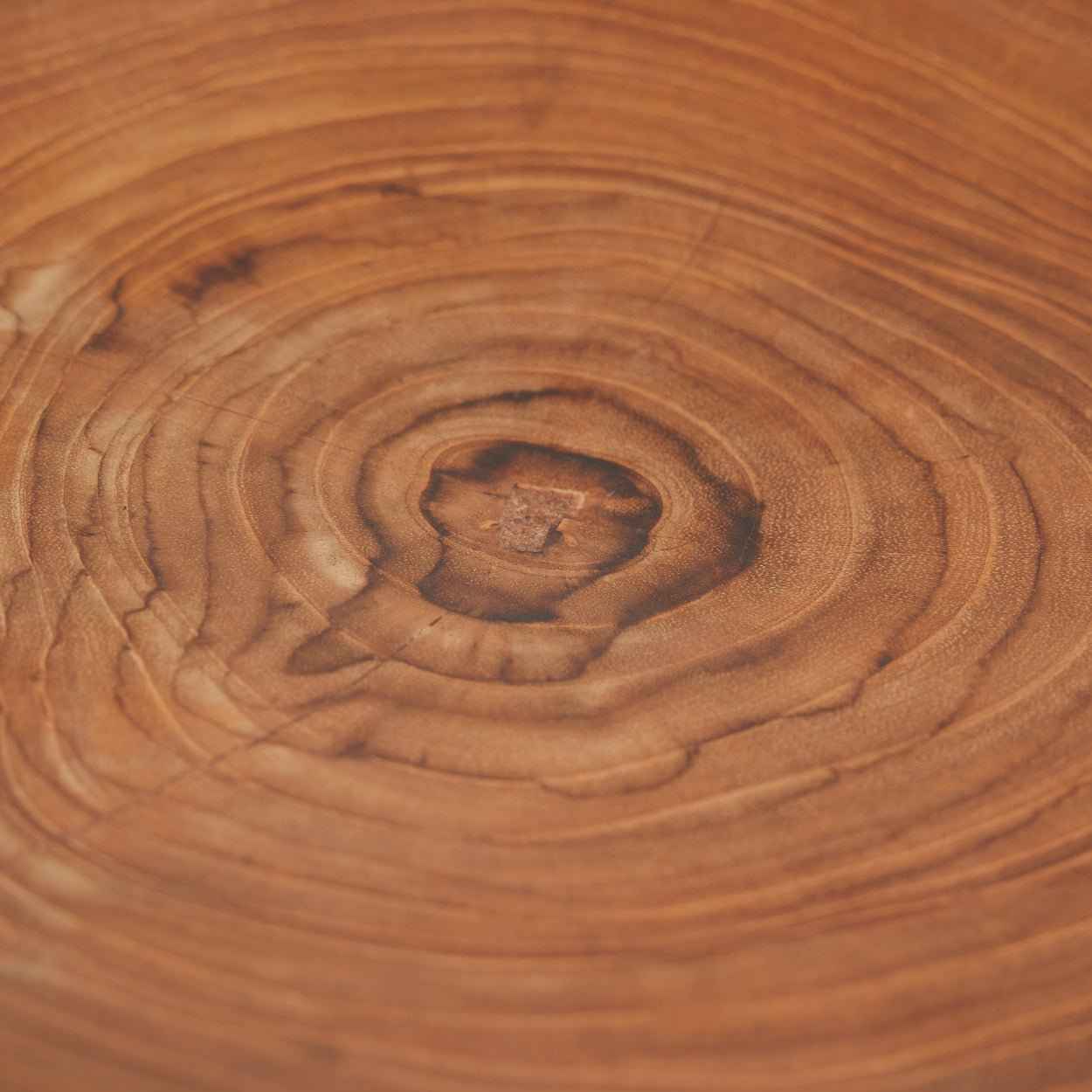 TEAK DINING PLATES | SET OF 6