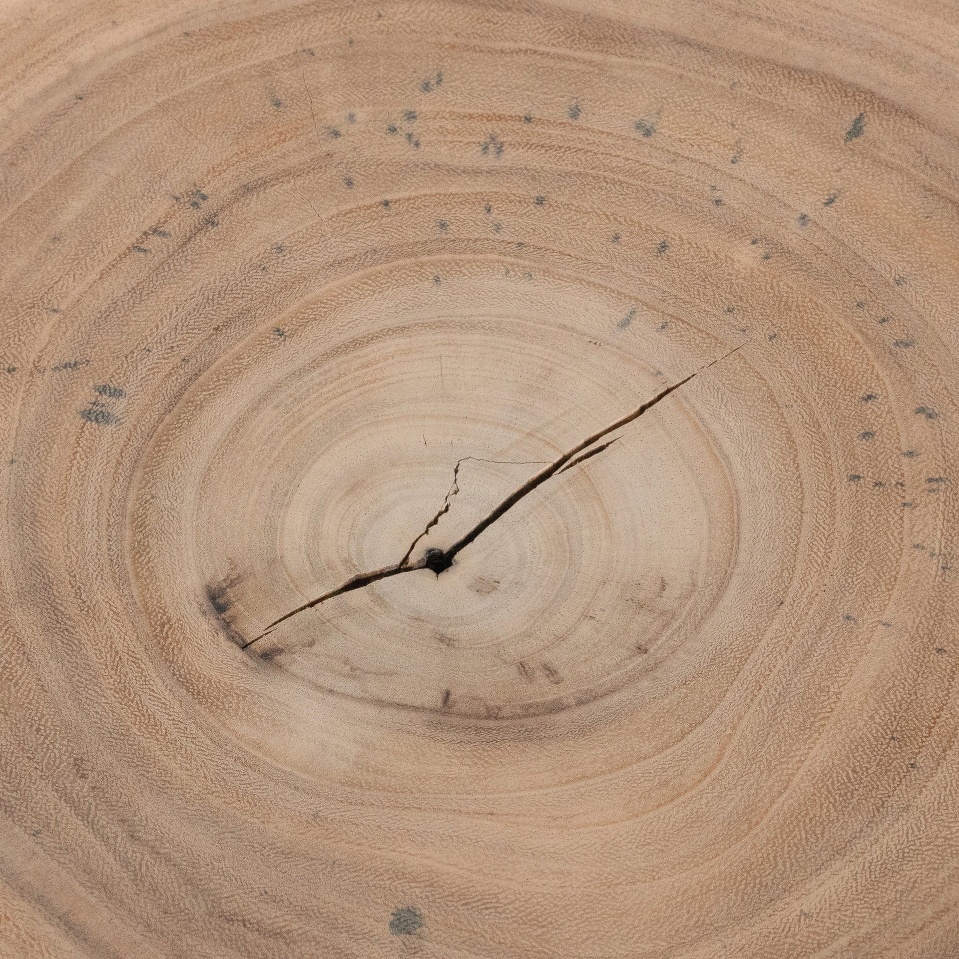 TAMALE SIDE TABLE | NATURAL